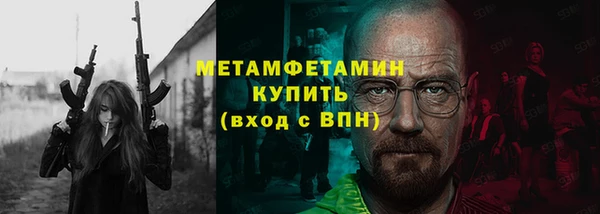 прущие грибы Медвежьегорск